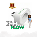 EcoFlow Manager